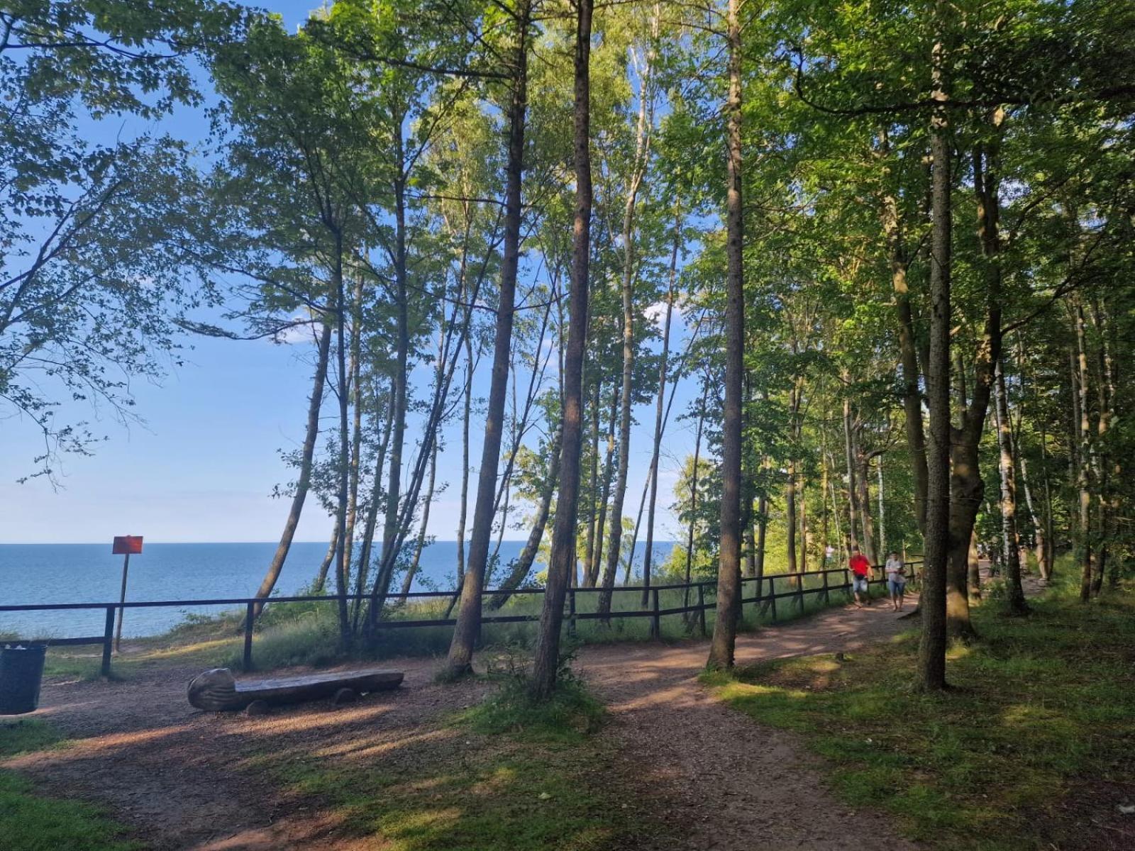 Вілла Osrodek Promenada- Domki Ястшембя-Гура Екстер'єр фото